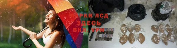 каннабис Алзамай