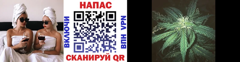 маркетплейс наркотические препараты  Катав-Ивановск  Канабис AK-47 